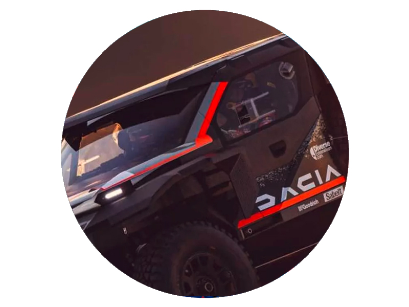 SAB-SPINE_c2